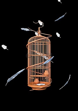 鸟笼,羽毛,囚禁