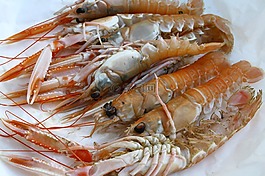 人们,贝类,海鲜