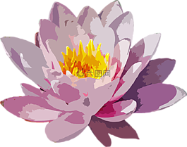 花,花的,植物