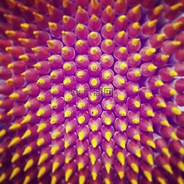 黄色的,铅笔,总