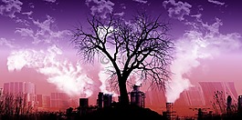 工厂,污染,工业厂房