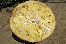 杰克水果,水果,异国情调