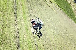 拖拉机,猛犬,农业