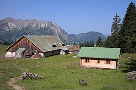 willers高山,碱性磷酸酶,坏 hindelang