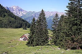 willers高山,碱性磷酸酶,坏 hindelang