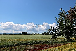 景观,日本,北海道