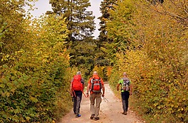 徒步旅行,步行,秋