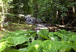 面纱瀑布,szilvásvárad,性质