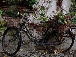 自行车,春,复古