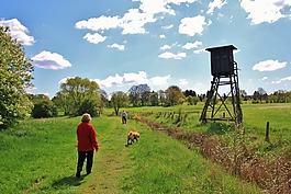 徒步旅行,步行,景观