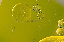 水包油,油眼,液体