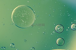 水包油,油眼,液体