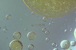 水包油,油眼,液体