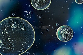 水包油,油眼,液体
