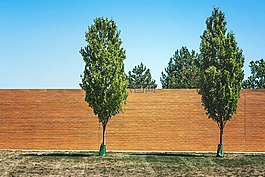 树,砖墙,墙