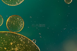 水包油,油眼,液体