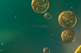 水包油,油眼,液体