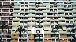 结构,篮球场,建设