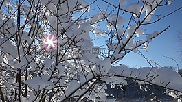 冬天,太阳,1 月