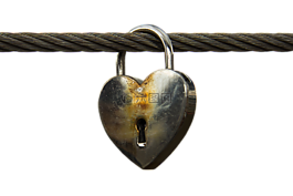 心脏,城堡,爱情城堡