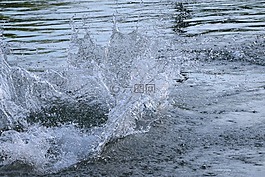 水,水溅,鞘