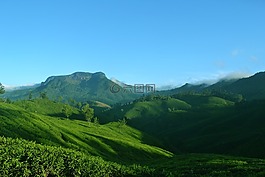 蒙纳,喀拉拉邦,印度