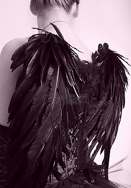 黑色恩格尔,翼,羽毛