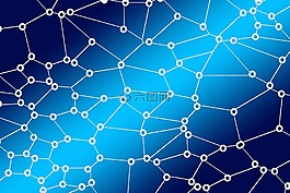 网络,社会,社会网络