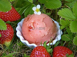 草莓冰淇淋,草莓,冰淇淋
