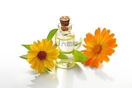 精油,美容,水疗中心