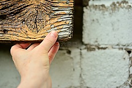 皮瓣,闭嘴,手