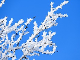 霜,水晶,科