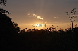 夕阳,西溪湿地,黄昏