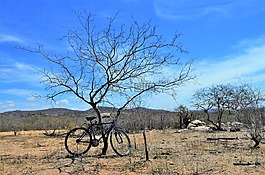 东北地区,景观的东北,穷乡僻壤