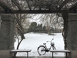 雪,自行车,生活