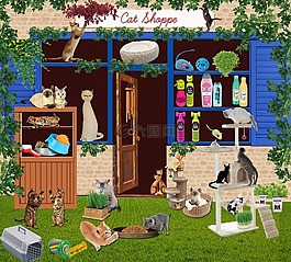 猫,宠物店,店