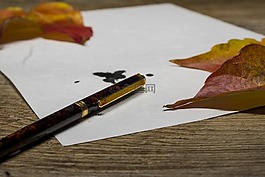 填料,书写工具,给