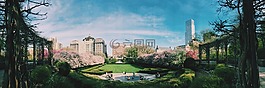 建筑物,全景,公园