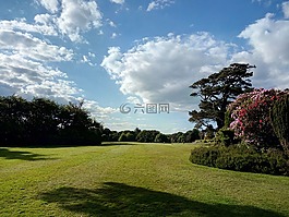 花园,阳光明媚,性质