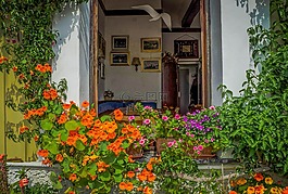 五渔村,意大利,鲜花
