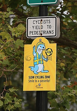 骑单车的男子,行人,慢区