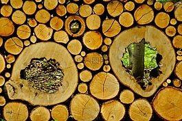 木,holzstapel,堆积