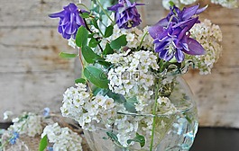鲜花,花瓶,韭菜