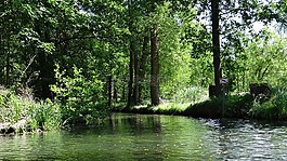 spreewald,深度,景观