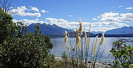 湖,蒂阿瑙,新西兰