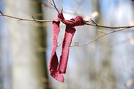 忘了,围巾,粉红色