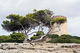 马洛卡,海盗,景观