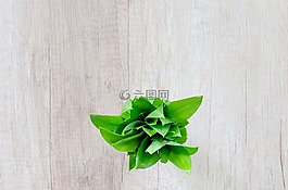木材,表,草本植物