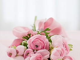 玫瑰,花束,祝贺