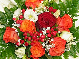 束鲜花,花商,束玫瑰